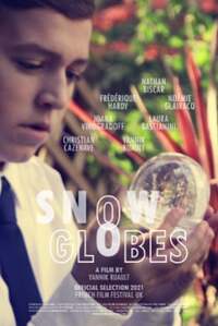 Imagen Snowglobes