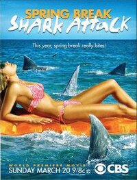 image Spring Break Shark Attack