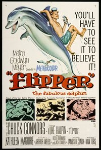 image Flipper