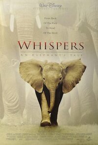 Whispers: Ein Elefantenmärchen