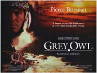 Grey Owl