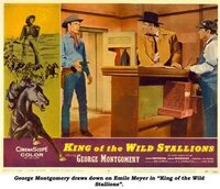 Imagen King of the Wild Stallions