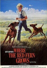 Imagen Where the Red Fern Grows