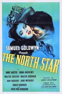 Bild The North Star