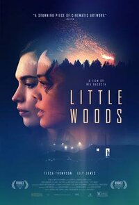 Bild Little Woods