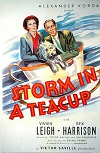 Bild Storm in a Teacup