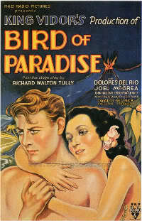 Bild Bird of Paradise