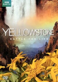 Imagen Yellowstone