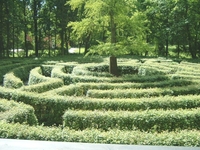 Bild Maze