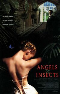 image Angels and Insects