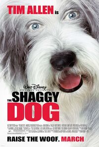 image The Shaggy Dog