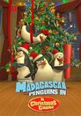 Die Madagascar-Pinguine in vorweihnachtlicher Mission