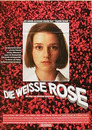 Die weiße Rose