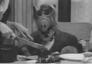 ▶ Alf > Like an Old Time Movie