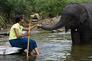 ▶ Chandani und ihr Elefant