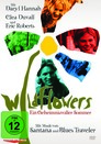 Wildflowers - Geheimnisvoller Sommer