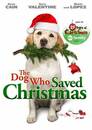 Ein Hund rettet Weihnachten