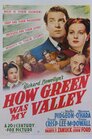 ▶ How Green Was My Valley