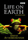 ▶ Life on Earth > The Swarming Hordes