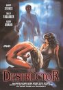 ▶ The Destructor