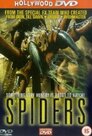 Spider Attack - Achtbeinige Monster