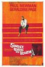 ▶ Sweet Bird of Youth