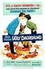 ▶ The Ugly Dachshund