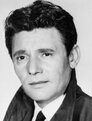 Harry Guardino