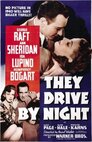 ▶ They Drive by Night