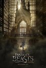 ▶ Fantastic Beasts and Where to Find Them