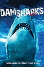 ▶ Dam Sharks
