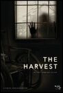 ▶ The Harvest