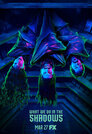 ▶ What We Do in the Shadows > Der Stadtrat