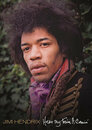 ▶ Jimi Hendrix: Hear My Train a Comin'