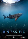 ▶ Big Pacific