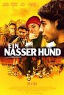 ▶ Ein nasser Hund