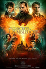 ▶ Fantastic Beasts: The Secrets of Dumbledore