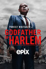 ▶ Godfather of Harlem > Season 1