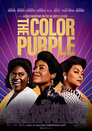 ▶ The Color Purple