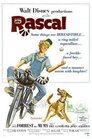 Rascal - Ein Frechdachs im Maisfeld