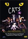 ▶ Cats