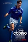 ▶ Il Divin Codino