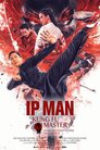 ▶ Ip Man: Kung Fu Master