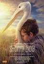 ▶ Storm Boy