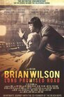 ▶ Brian Wilson: Long Promised Road