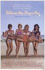 ▶ Beach Parties - Sonne, Sex und Sunnyboys