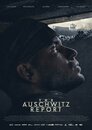 ▶ The Auschwitz Report