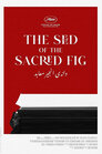 The Seed of the Sacred Fig