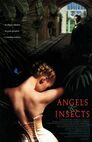 Des anges et des insectes