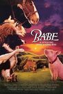 ▶ Babe, le cochon devenu berger